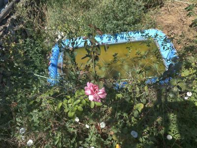 Полицията откри градина от марихуана с поливна система в изоставена вила в Казанлък