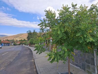 Шипка е готова да посрещне „Богородични празници 2024“ 