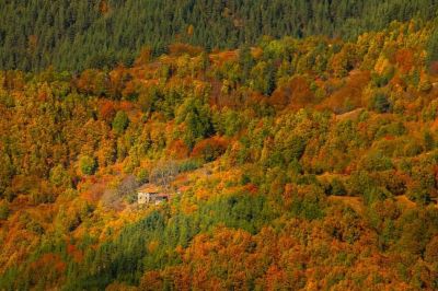 Фотографският проект “Забравени“ на Тодор Тилев получи високо отличие в престижен конкурс 