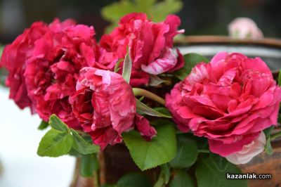 С ритуал на приемствеността започна новата учебна година в Механото 