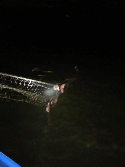 240 м. мрежи и уловена в тях близо 100 кг. риба, откриха служители на ИАРА в язовир “Жребчево“