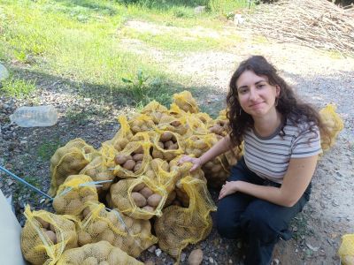 Тон картофи за Казанлък от Фондация „Гората.бг“