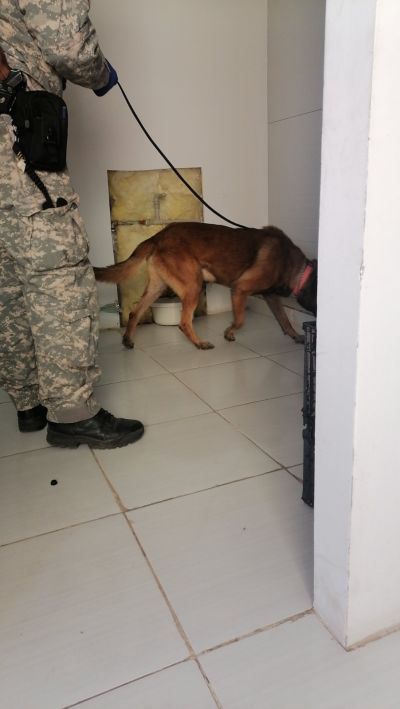 Специализирана полицейска операция се провежда на територията на ОДМВР-Стара Загора 