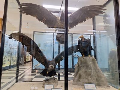 Ученици от ПХГ „Св. Св. Кирил и Методий“ бяха на еднодневен географски практикум в Столицата 