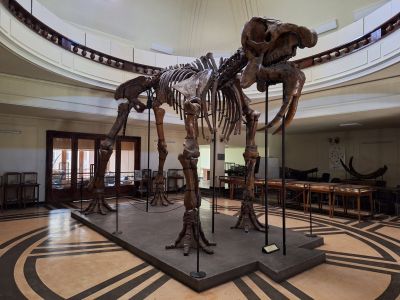 Ученици от ПХГ „Св. Св. Кирил и Методий“ бяха на еднодневен географски практикум в Столицата 