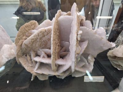 Ученици от ПХГ „Св. Св. Кирил и Методий“ бяха на еднодневен географски практикум в Столицата 