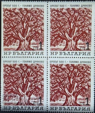 Казанлъшка продукция печели 5 награди от изложение на орехови ядки през далечната 1931 г.