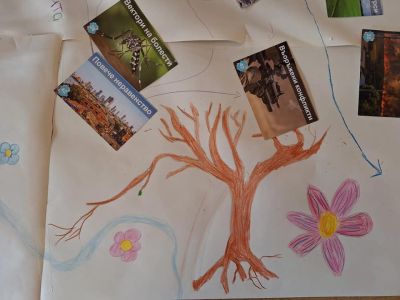 Ученици от ПХГ „Св. Св. Кирил и Методий“ премериха знания в образователната игра „Климатична фреска“