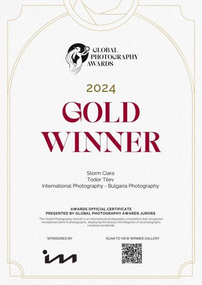Фотографът Тодор Тилев спечели златен медал от световен конкурс