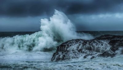 Фотографът Тодор Тилев спечели златен медал от световен конкурс