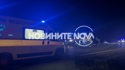 Без сериозни наранявания е шофьорът, блъснал крава край Павел баня снощи