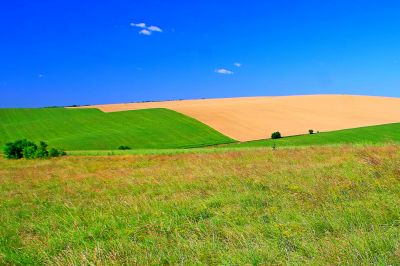 Величка Николова реди самостоятелна изложба в Музея на фотографията в Казанлък 