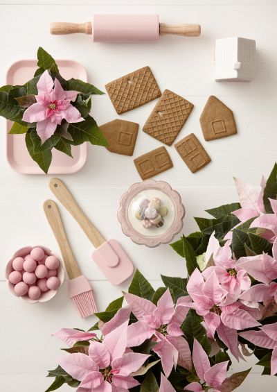 Коледната звезда - историята на най-популярното зимно цвете и идеи за лесна украса