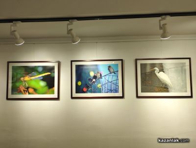 Величка Николова с втората самостоятелна изложба в Музея на фотографията в Казанлък 