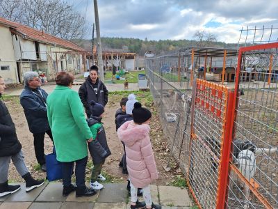 Деца от ДГ “Юрий Гагарин“ учат на добротворство: Грижи и инициатива за кучетата от приюта на Казанлък