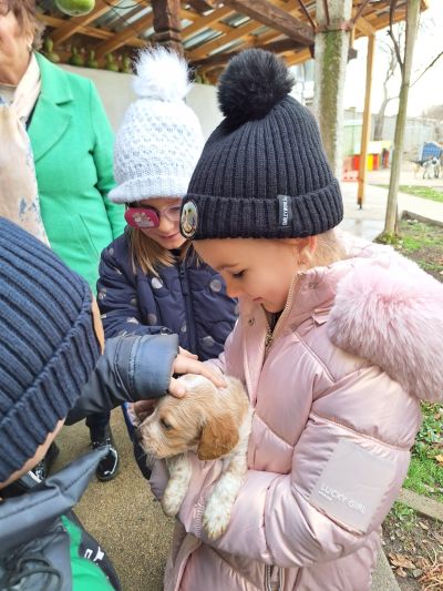 Деца от ДГ “Юрий Гагарин“ учат на добротворство: Грижи и инициатива за кучетата от приюта на Казанлък