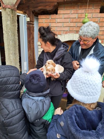 Деца от ДГ “Юрий Гагарин“ учат на добротворство: Грижи и инициатива за кучетата от приюта на Казанлък