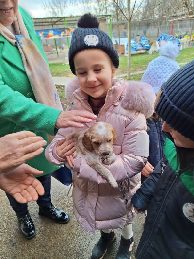 Деца от ДГ “Юрий Гагарин“ учат на добротворство: Грижи и инициатива за кучетата от приюта на Казанлък