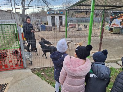 Деца от ДГ “Юрий Гагарин“ учат на добротворство: Грижи и инициатива за кучетата от приюта на Казанлък