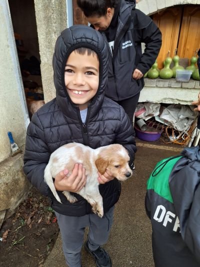 Деца от ДГ “Юрий Гагарин“ учат на добротворство: Грижи и инициатива за кучетата от приюта на Казанлък