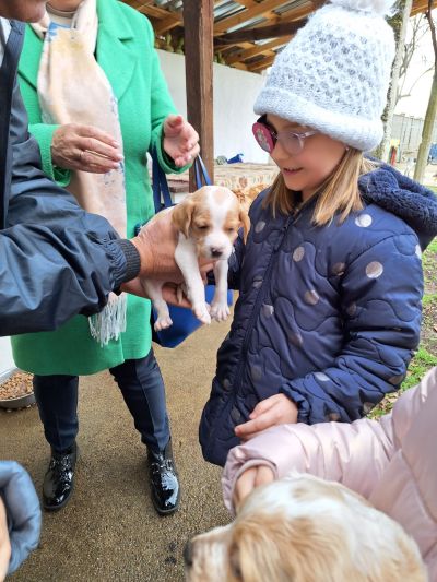 Деца от ДГ “Юрий Гагарин“ учат на добротворство: Грижи и инициатива за кучетата от приюта на Казанлък