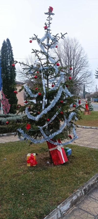 Голямо Дряново в очакване на Коледа