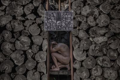 Снимки на Тодор Тилев бяха включени в три международни изложби по фотография