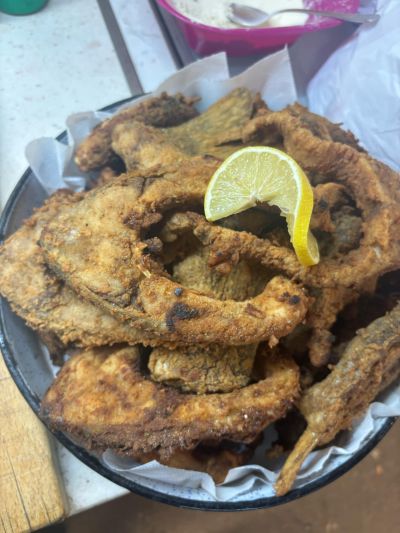 В Енина поздравиха хора с принос към обществения живот на селото и дългогодишни читалищни членове