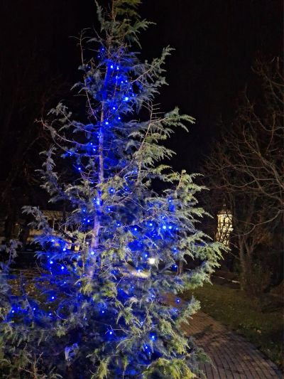 Шипка засия в коледни светлини