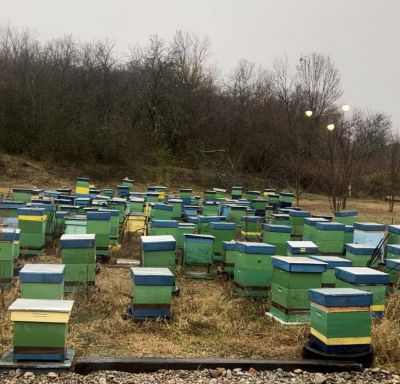 В неделя, предаването “Да хванеш гората“ ни среща с казанлъчанинът Константин Бойчев