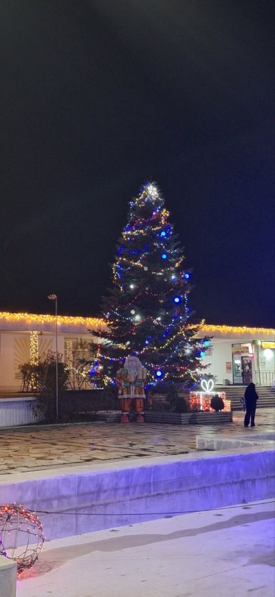 Павел баня запали светлините на коледната си елха