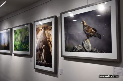 Слави Заяков получи първа награда в Седмия фотографски салон
