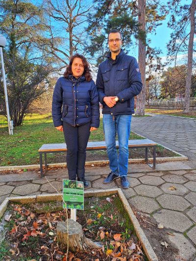 Ученици и учители засадиха дръвчета в двора на ПХГ „Св. Св. Кирил и Методий“ гр. Казанлък 