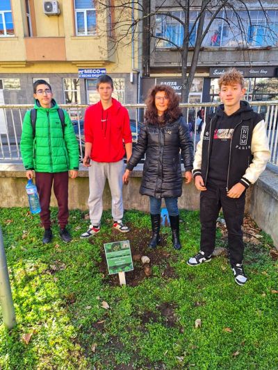 Ученици и учители засадиха дръвчета в двора на ПХГ „Св. Св. Кирил и Методий“ гр. Казанлък 
