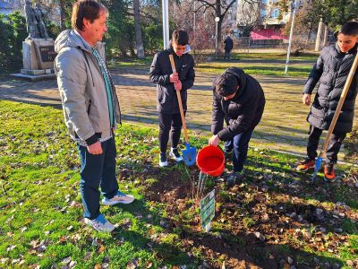 Ученици и учители засадиха дръвчета в двора на ПХГ „Св. Св. Кирил и Методий“ гр. Казанлък 