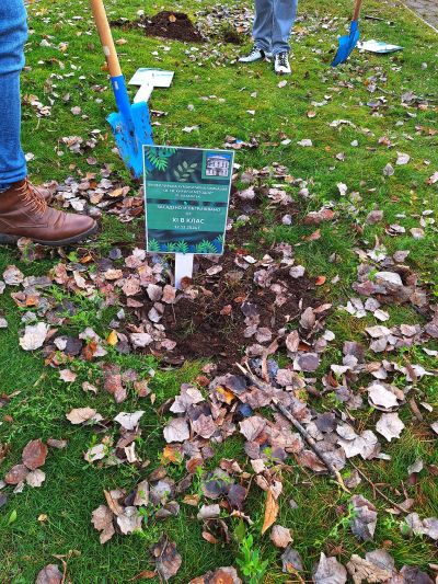 Ученици и учители засадиха дръвчета в двора на ПХГ „Св. Св. Кирил и Методий“ гр. Казанлък 