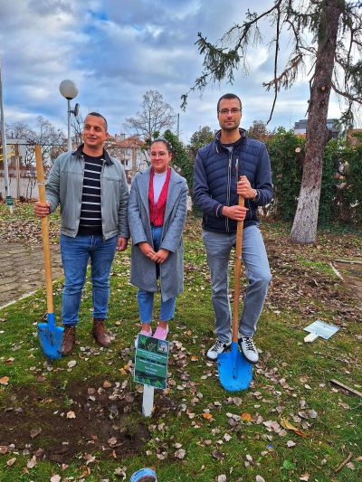 Ученици и учители засадиха дръвчета в двора на ПХГ „Св. Св. Кирил и Методий“ гр. Казанлък 