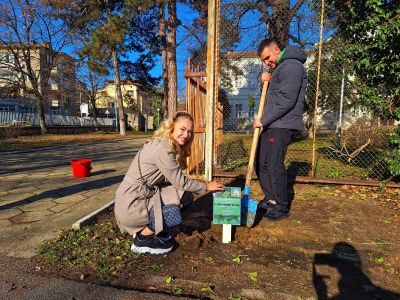 Ученици и учители засадиха дръвчета в двора на ПХГ „Св. Св. Кирил и Методий“ гр. Казанлък 
