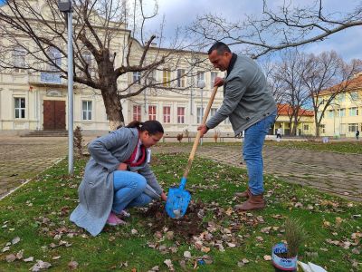 Ученици и учители засадиха дръвчета в двора на ПХГ „Св. Св. Кирил и Методий“ гр. Казанлък 