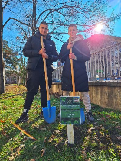 Ученици и учители засадиха дръвчета в двора на ПХГ „Св. Св. Кирил и Методий“ гр. Казанлък 