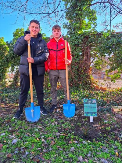 Ученици и учители засадиха дръвчета в двора на ПХГ „Св. Св. Кирил и Методий“ гр. Казанлък 