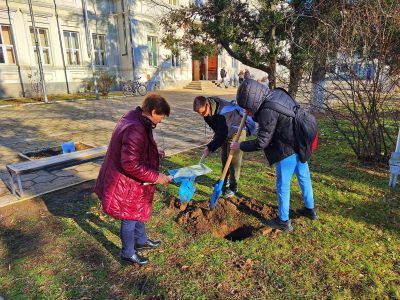 Ученици и учители засадиха дръвчета в двора на ПХГ „Св. Св. Кирил и Методий“ гр. Казанлък 