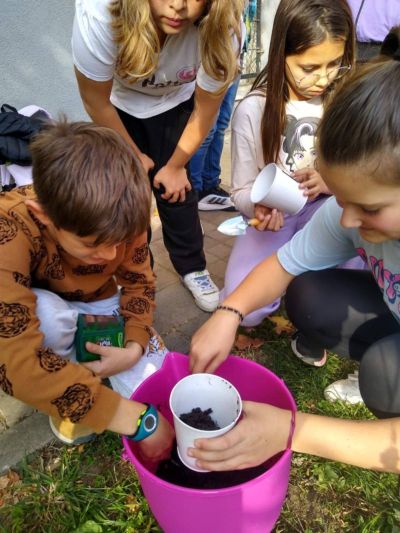 ОУ „Георги Кирков“ с успешно изпълнение и финализиране на всички дейности по проект „Моето любимо зелено кътче“