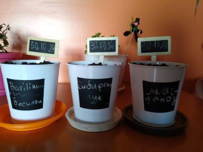 ОУ „Георги Кирков“ с успешно изпълнение и финализиране на всички дейности по проект „Моето любимо зелено кътче“