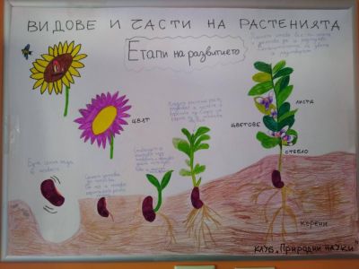 ОУ „Георги Кирков“ с успешно изпълнение и финализиране на всички дейности по проект „Моето любимо зелено кътче“