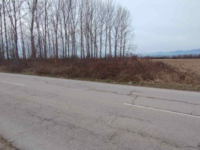 Инициатива: Жители на Овощник и Черганово се събират за почистване на пътния банкет между двете села