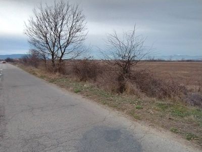 Инициатива: Жители на Овощник и Черганово се събират за почистване на пътния банкет между двете села