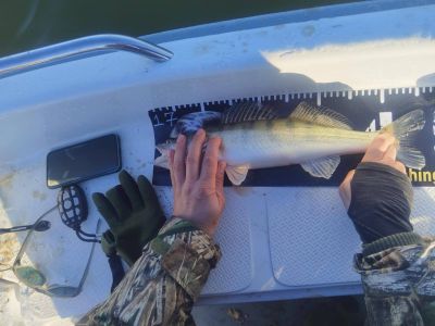 Рибари мериха сили в състезание по джиг риболов от лодка на язовир “Копринка“