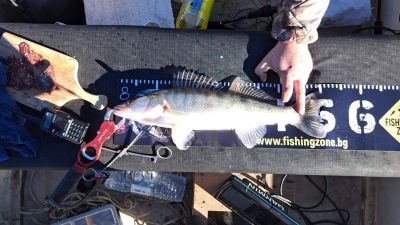 Рибари мериха сили в състезание по джиг риболов от лодка на язовир “Копринка“