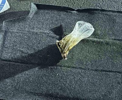 ГДБОП арестува четирима за производство и разпространение на наркотици в областите Стара Загора и Сливен